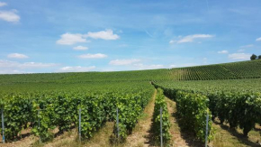 Enjoy en Champagne maison calme au milieu du vignoble avec parking gratuit
